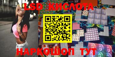 стаф Можга