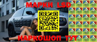 стаф Можга