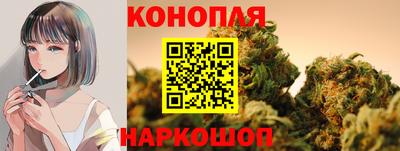 стаф Можга