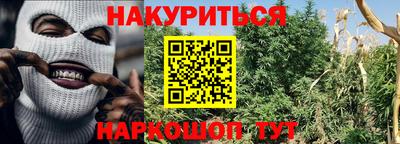 стаф Можга