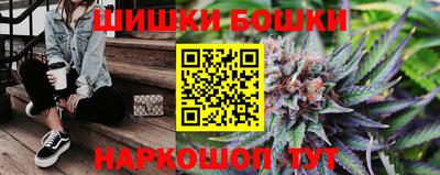 стаф Можга