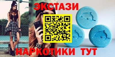 стаф Можга