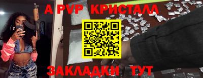 стаф Можга