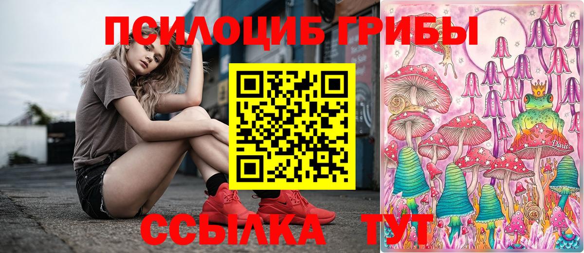 Псилоцибиновые грибы GOLDEN TEACHER Чехов