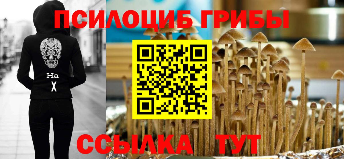 Чехов  Галлюциногенные грибы Cubensis  Вход с VPN 